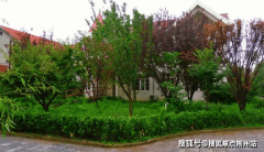 2025年海淀养老示范!市海淀区金宇敬老院